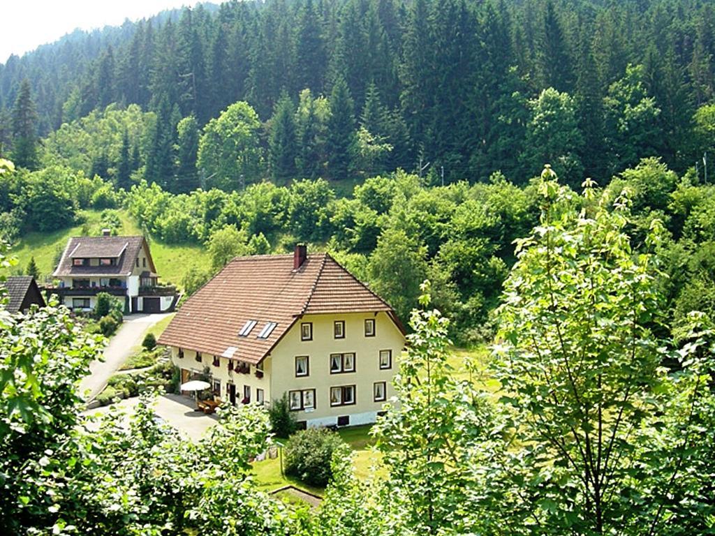 Apartmán Country Style Flat With Garden Triberg im Schwarzwald Exteriér fotografie