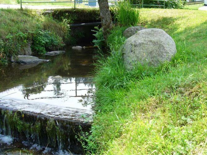 Apartmán Country Style Flat With Garden Triberg im Schwarzwald Exteriér fotografie